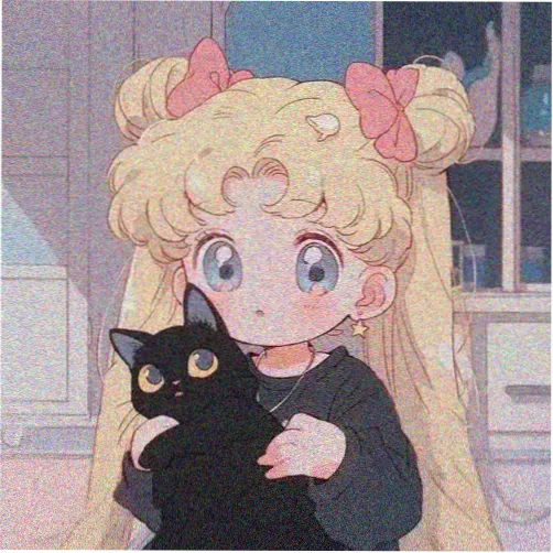 南码头观众头像
